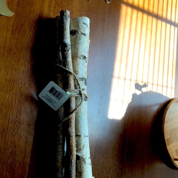 Birch Wood Tree Bundle NEW ITEM FINAL SALE - Picture 1 of 5